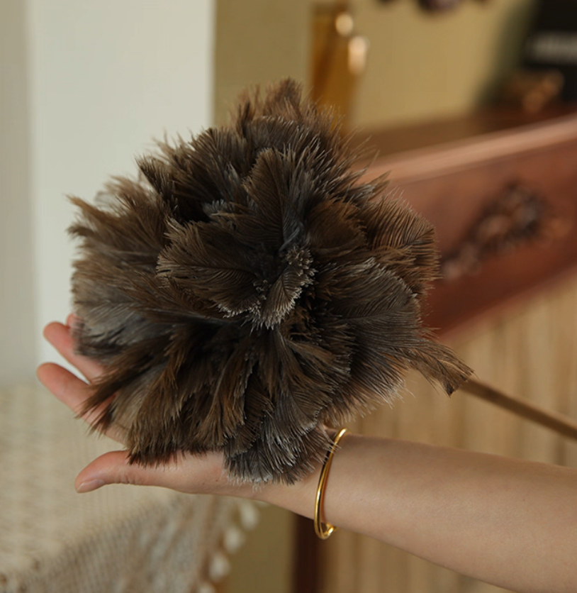 Extra-Long Handle Ostrich Feather Duster – Premium Delicate Dusting Tool
