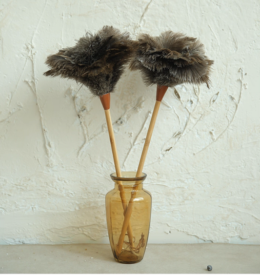 Extra-Long Handle Ostrich Feather Duster – Premium Delicate Dusting Tool