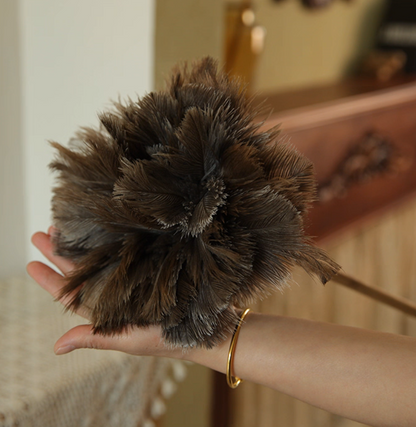 Extra-Long Handle Ostrich Feather Duster – Premium Delicate Dusting Tool