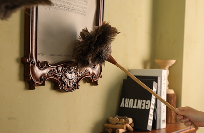 Extra-Long Handle Ostrich Feather Duster – Premium Delicate Dusting Tool